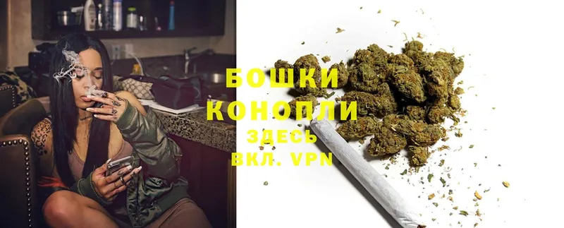 Бошки марихуана OG Kush  Балашов 